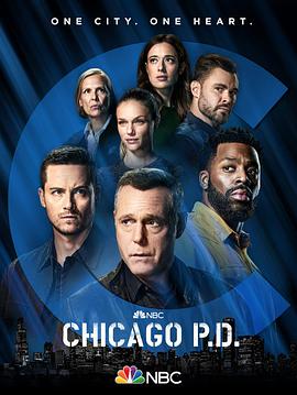芝加哥警署第九季 第4集